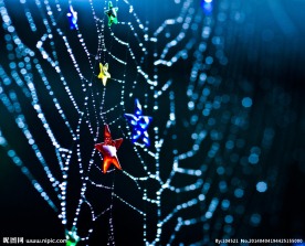 蜘蛛网