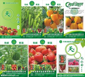 蔬菜挂图