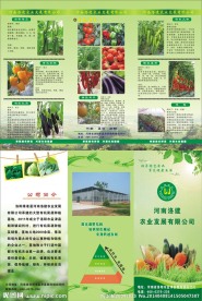 蔬菜彩面三折页