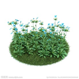 植物模型下载 植物
