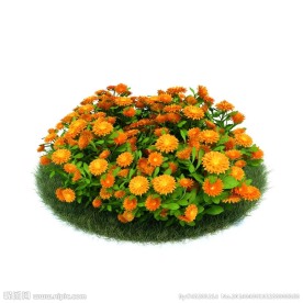 植物模型下载 植物