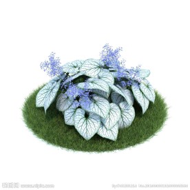 植物模型下载 植物