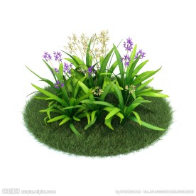 植物模型下载 植物
