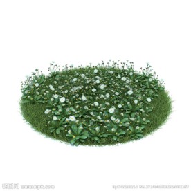 植物模型下载 植物