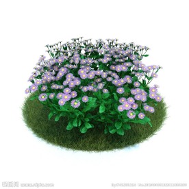 植物模型下载 植物