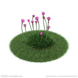 植物模型下载 植物