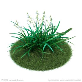 植物模型下载 植物