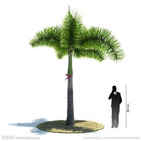 热带树木模型