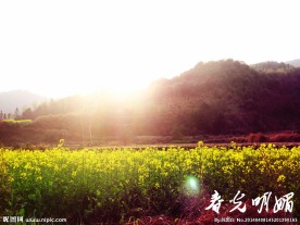 婺源美景