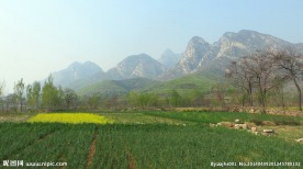 登封春景