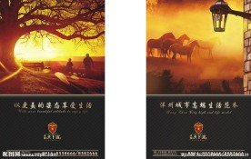 房地产广告