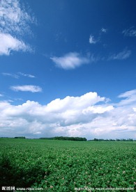 田野素材图片 田野