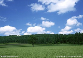 田野素材图片 田野