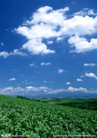 田野素材图片 田野