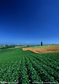 田野素材图片 田野