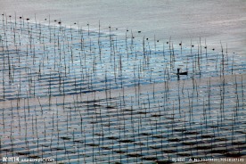 福州霞浦风光无限