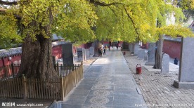 登封少林寺内景