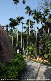 植物园