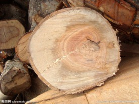 木材质木纹理木头