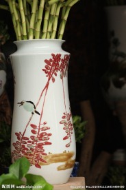 转运竹