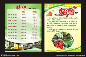 好消息 宣传单