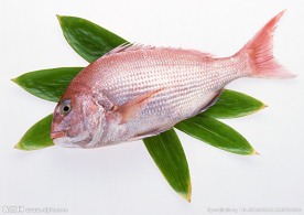 海鱼