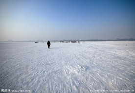 雪地