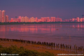 深圳湾