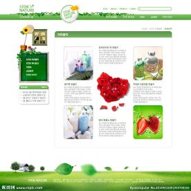 韩国优秀网页模板