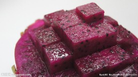 火龙果 红龙果 水果