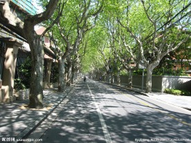优雅思南路 街景