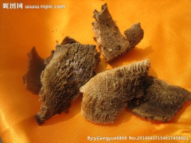 鹿茸