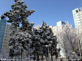 雪后初晴