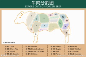 牛肉分割图