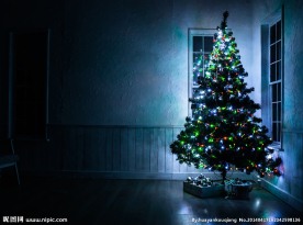 圣诞树室内图片