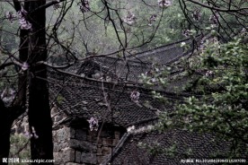 屋檐