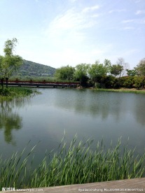 长广溪湿地公园