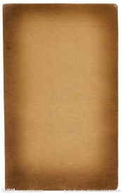 木材质木纹理木纹