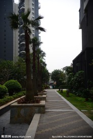 小区景观