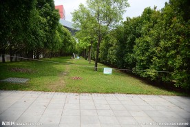 深圳市民中心公园