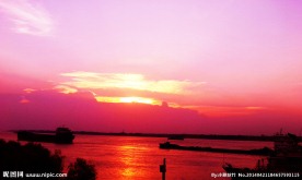 夕阳红