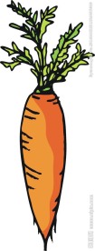 胡萝卜