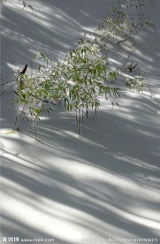 雪韵