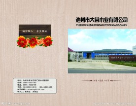 地板封面