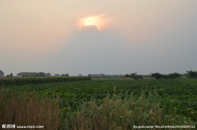 农田夕阳农家田地