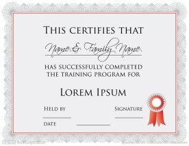 资历证明学历证书奖状