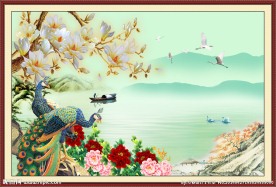 玉兰花