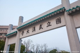 武汉大学