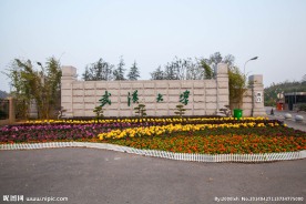 武汉大学