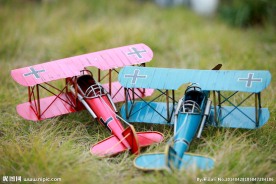 草丛中的装饰飞机